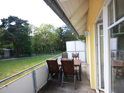 Garten. Blick vom Balkon oder Terrasse