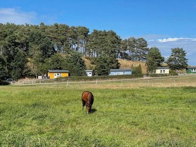 Ferienwohnung für 4 Personen (68 m²) in Koserow (Seebad) 7/10