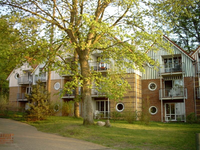 19240466-Ferienwohnung-3-Koserow (Seebad)-800x600-0