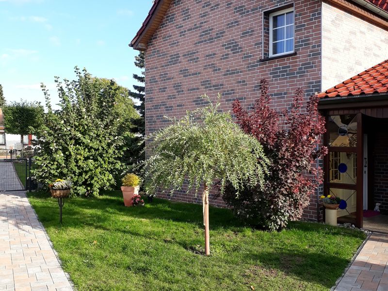 21862641-Ferienwohnung-4-Koserow (Seebad)-800x600-1