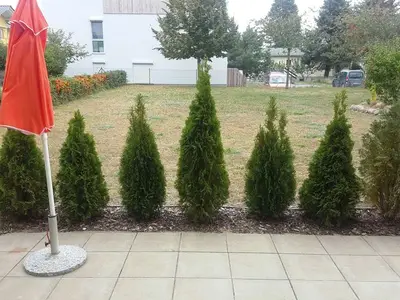 Ferienwohnung für 2 Personen (60 m²) in Koserow (Seebad) 5/10