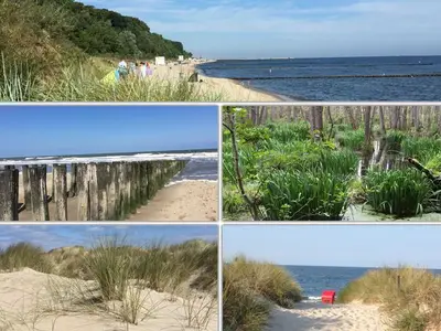 Ferienwohnung für 4 Personen (68 m²) in Koserow (Seebad) 6/10