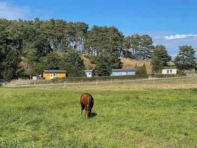 Ferienwohnung für 4 Personen (68 m²) in Koserow (Seebad) 10/10
