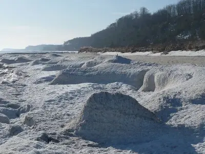 Ferienwohnung für 4 Personen (68 m²) in Koserow (Seebad) 2/10