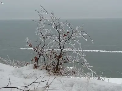 Ferienwohnung für 4 Personen (68 m²) in Koserow (Seebad) 3/10