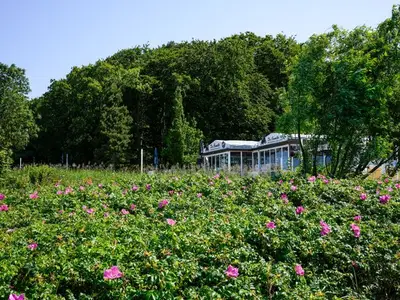 Ferienwohnung für 4 Personen (42 m²) in Koserow (Seebad) 10/10