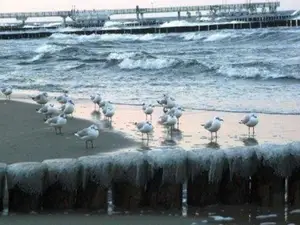 Ferienwohnung für 4 Personen (50 m²) in Koserow (Seebad)