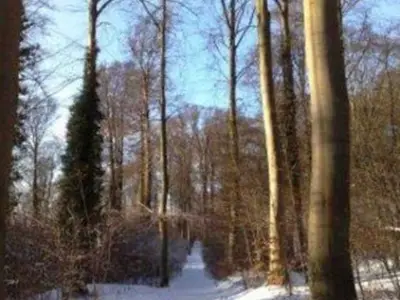 Ferienwohnung für 5 Personen (50 m²) in Koserow (Seebad) 9/10