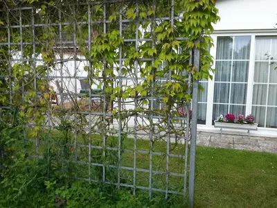 Ferienwohnung für 3 Personen in Koserow (Seebad) 3/10
