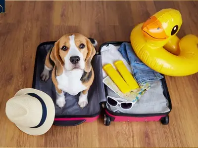 Ferienwohnung für 4 Personen (53 m²) in Koserow (Seebad) 8/10