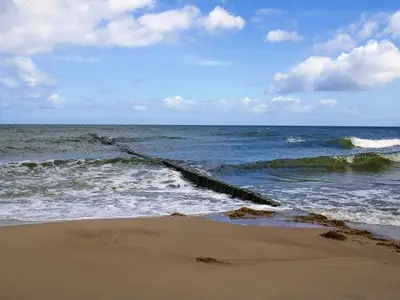 Ferienwohnung für 4 Personen (53 m²) in Koserow (Seebad) 3/10