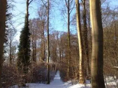 Ferienwohnung für 5 Personen (50 m²) in Koserow (Seebad) 1/10