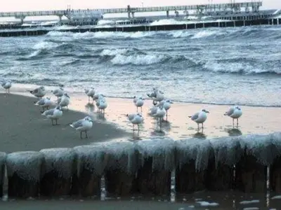 Ferienwohnung für 5 Personen (50 m²) in Koserow (Seebad) 3/10