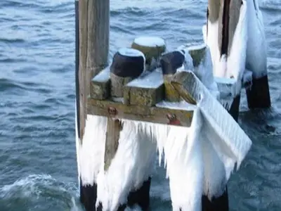 Ferienwohnung für 5 Personen (50 m²) in Koserow (Seebad) 4/10