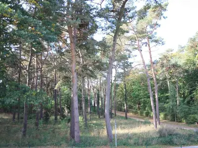 Ferienwohnung für 4 Personen (50 m²) in Koserow (Seebad) 5/10