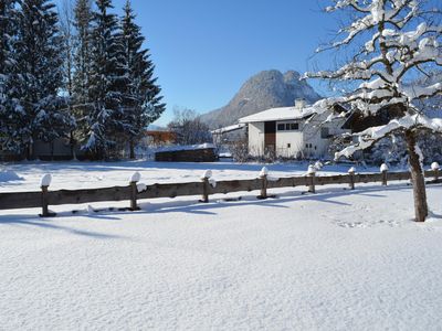 Obstgarten