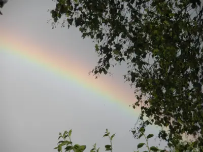 DSCN5733
