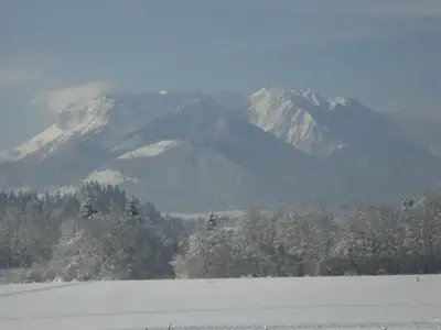 Blick aus dem Fenster -wi