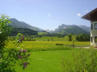 Sommerstimmung