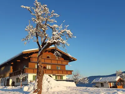 Winterstimmung