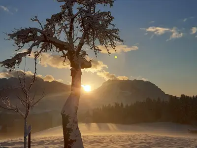 Späte Sonnenstrahlen