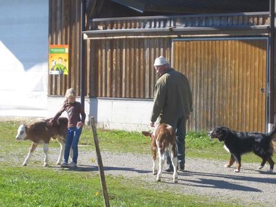 Bio-Bauernhof-Haslach-Koessen-Tiere