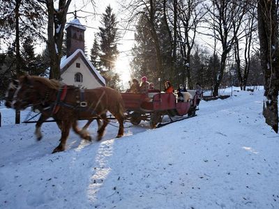 Kutschenfahrten