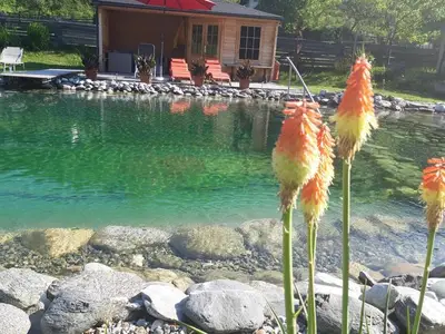 Ferienwohnung für 5 Personen (65 m²) in Kötschach-Mauthen 3/10