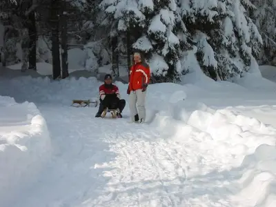 Ferienwohnung für 2 Personen (33 m²) in Kötschach-Mauthen 8/10