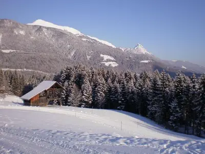 Ferienwohnung für 2 Personen (33 m²) in Kötschach-Mauthen 9/10