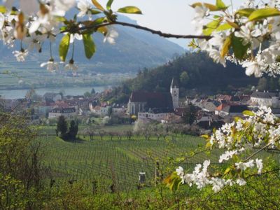 Wachau