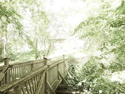 Brücke