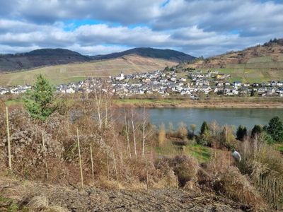 Blick auf Enkirch