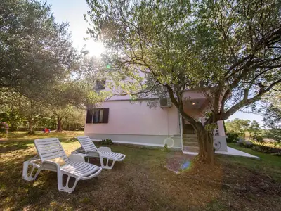 Ferienwohnung für 4 Personen (45 m²) in Kožino 10/10