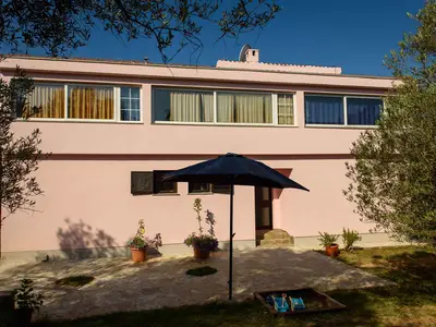 Ferienwohnung für 4 Personen (45 m²) in Kožino 2/10