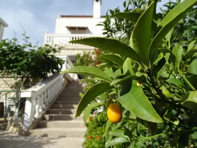 Ferienwohnung für 5 Personen (80 m²) in Kožino 2/10