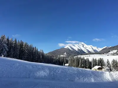 Ferienwohnung für 4 Personen (44 m²) in Krakaudorf 6/10