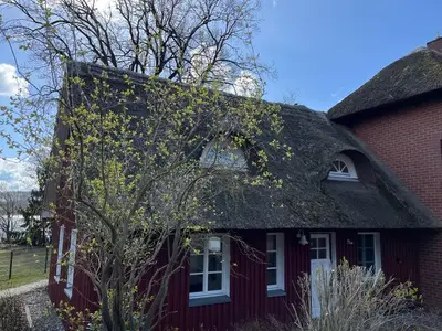 Ferienwohnung für 5 Personen (75 m²) in Krakow am See 4/10
