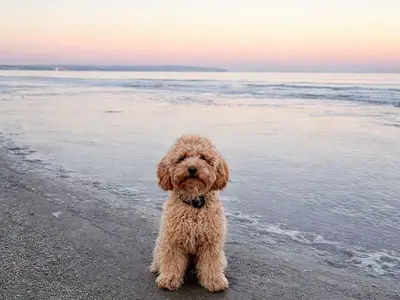 Ferienwohnung für 6 Personen (140 m²) in Krakow am See 2/10