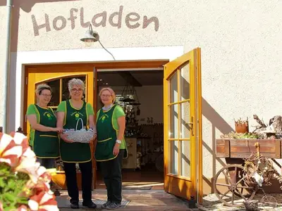 Ferienwohnung für 4 Personen (55 m²) in Kreba-Neudorf 6/10