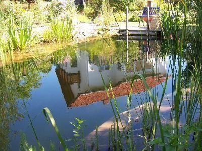 Spiegelung im Gartenteich