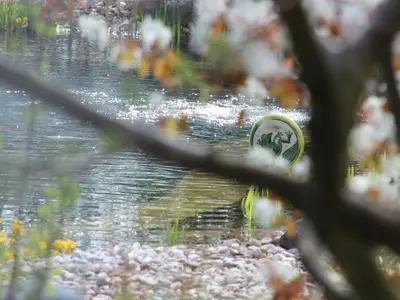 Blick in den Garten