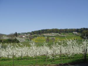 22604559-Ferienwohnung-2-Kressbronn-300x225-1