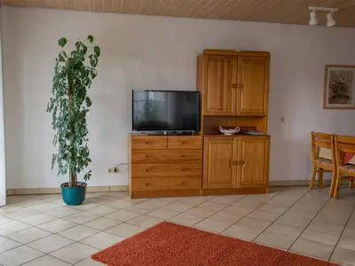 Flachbildfernseher in Wohnung 3