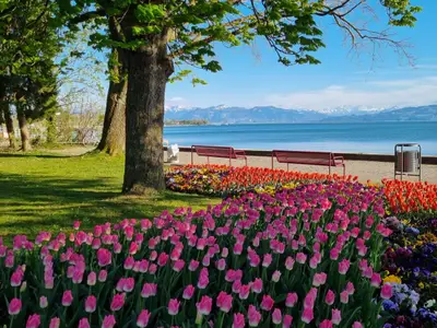MF Feriendomizil am Bodensee