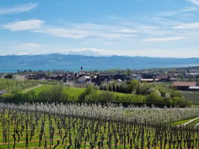 MF Feriendomizil am Bodensee
