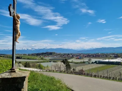 MF Feriendomizil am Bodensee