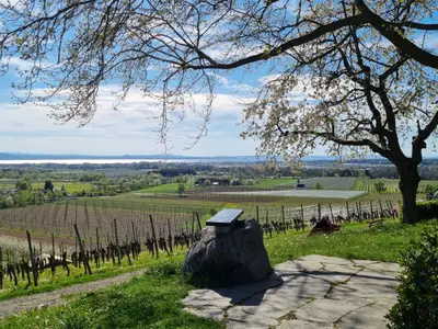 MF Feriendomizil am Bodensee