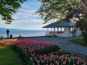 Ferienwohnung für 4 Personen (50 m²) in Kressbronn am Bodensee