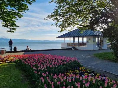 MF Feriendomizil am Bodensee